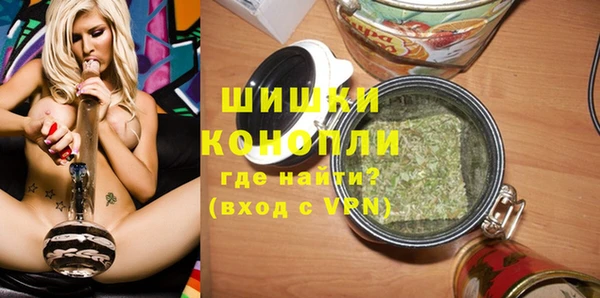 сатива Мегион