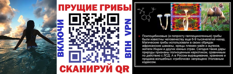 блэк спрут ССЫЛКА  площадка какой сайт  Псилоцибиновые грибы Psilocybe  Харабали 